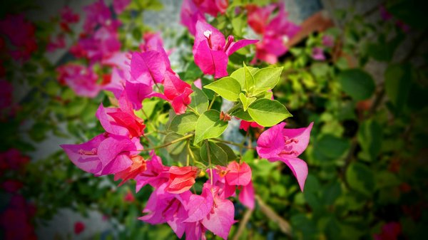 Découvrez les jumelles vision nocturne pour toutes vos aventures